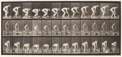 Plaat 442. Bukken en een steen over de grond rollen door Eadweard Muybridge