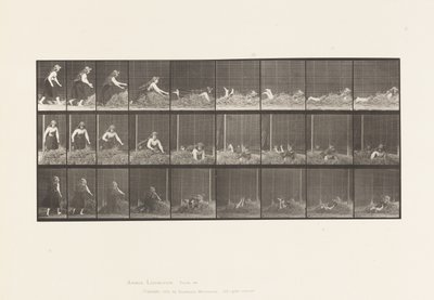Plaat 455. Zichzelf op een Hoop Hooi Gooien door Eadweard Muybridge
