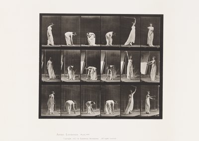 Plaat 503. Diversen - Bukken, enz. door Eadweard Muybridge