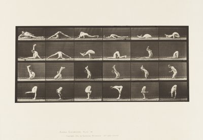 Contorties op de Grond, 1872-1885 door Eadweard Muybridge