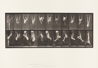 Plaat 512. Contorties aan ringen door Eadweard Muybridge
