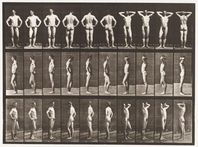 Plaat 530. Verschillende Houdingen door Eadweard Muybridge