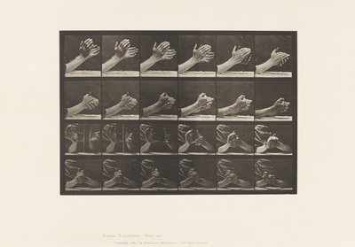 Beweging van de Hand; Handen Vouwen, 1885 door Eadweard Muybridge