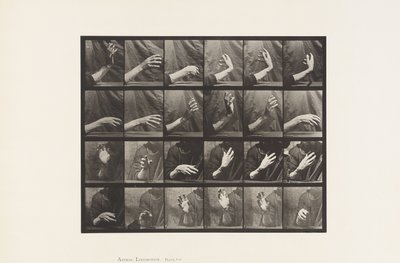 Beweging van de Hand; Tijd Slaan door Eadweard Muybridge