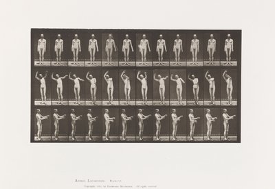 Lokale Chorea; A, B, C, Terwijl Staand door Eadweard Muybridge