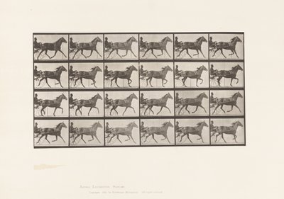 Plaat 607. Draven; Sulky; Bruine Merrie, Lizzie M. door Eadweard Muybridge