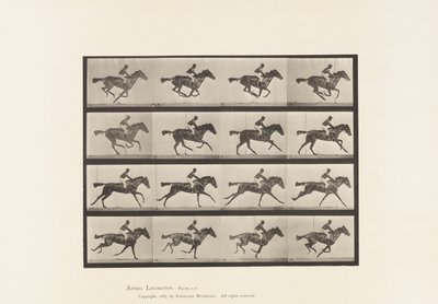 Plaat 626. Galop; Volbloed Bruine Merrie Annie G. door Eadweard Muybridge