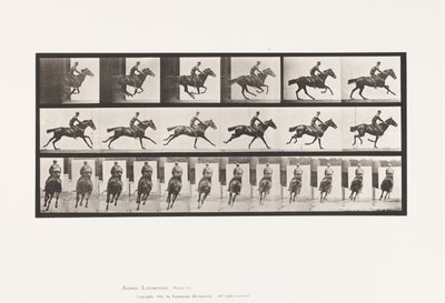 Plaat 633. Gallop; Zadel; Volbloed Bruin Paard Bouquet door Eadweard Muybridge