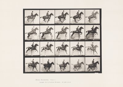 Plaat 640. Een Hordeloop; Zadel; Bruin Paard Daisy door Eadweard Muybridge