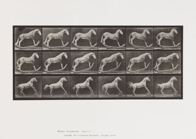 Plaat 649.A, Hoornaar, Schommelen; B, Adelaar, Rollend Vat, Etc. door Eadweard Muybridge