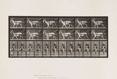 Plaat 678. Geit; Draven, in Sulky door Eadweard Muybridge