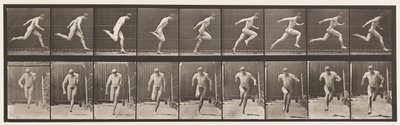 Rennen, 1872-1885 door Eadweard Muybridge