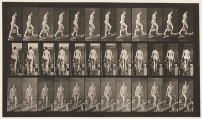 Plaat 81. Helling Beklimmen door Eadweard Muybridge