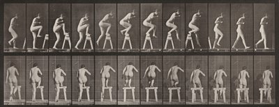 Plaat nummer 178. Op en over een schraag stappen door Eadweard Muybridge