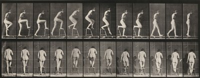  door Eadweard Muybridge