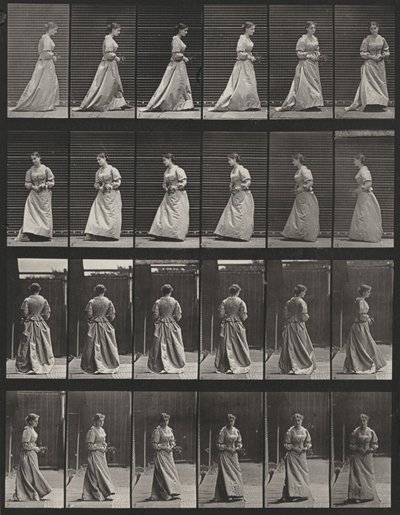  door Eadweard Muybridge