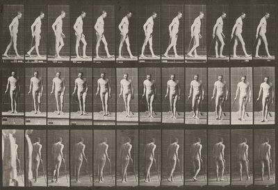  door Eadweard Muybridge