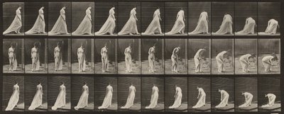  door Eadweard Muybridge