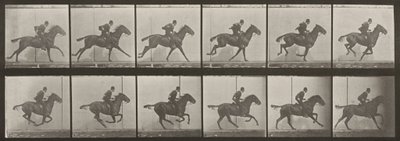 Plaat nummer 624. "Daisy" in galop, gezadeld door Eadweard Muybridge