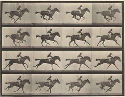  door Eadweard Muybridge