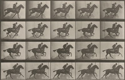  door Eadweard Muybridge