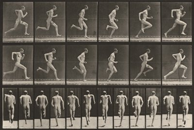 Plaat nummer 62. Hardlopen op volle snelheid door Eadweard Muybridge