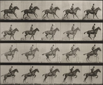 Plaat nummer 636. “Daisy” springt gesadeld over een hindernis en bereidt zich voor op de sprong door Eadweard Muybridge