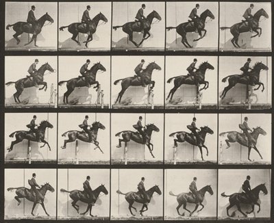 Plaat nummer 640. "Daisy" springt gesadeld over een hindernis door Eadweard Muybridge