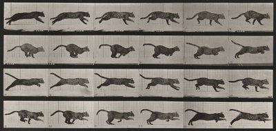  door Eadweard Muybridge