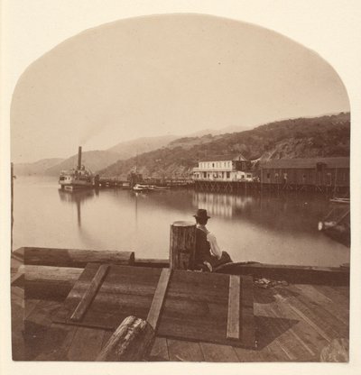 Sausalito vanaf de N.P.C.R.R.-kade, gezien naar het zuiden door Eadweard Muybridge