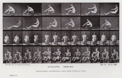 De menselijke figuur in beweging: Atleet, roeien door Eadweard Muybridge