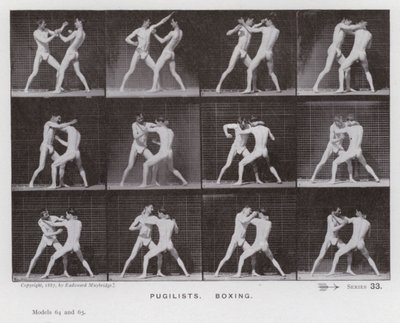 De menselijke figuur in beweging: Boksers, boksen door Eadweard Muybridge