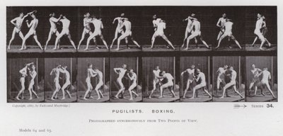 De menselijke figuur in beweging: Boksers, boksen door Eadweard Muybridge