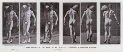 De menselijke figuur in beweging: Enkele fasen in de wandeling van een atleet, met een 75-pond rotsblok door Eadweard Muybridge