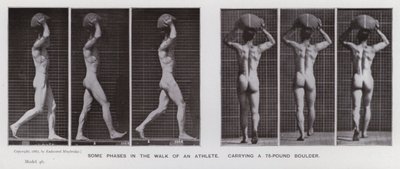 De menselijke figuur in beweging: Enkele fasen in de wandeling van een atleet met een steen van 75 pond door Eadweard Muybridge
