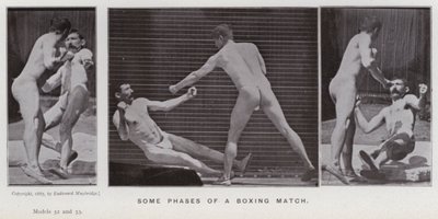 Het menselijk lichaam in beweging: Enkele fasen van een bokswedstrijd (zwart-wit foto) door Eadweard Muybridge