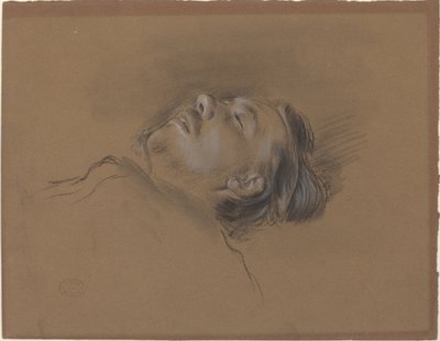Hoofd van de gevallen jockey door Edgar Degas