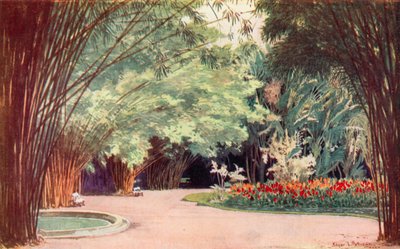 Een Bamboebos, Botanische Tuinen (kleur litho) door Edgar L. Pattison