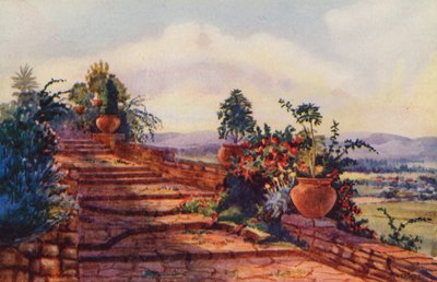 De Trappen bij het Regeringshuis, Pretoria door Edith Struben