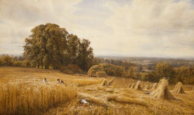 Een Uitgestrekt Landschap met Oogsters, 1873 door Edmund George Warren