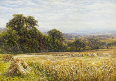 Oogsttijd door Edmund George Warren