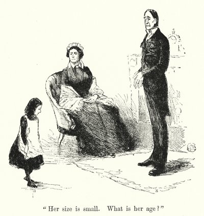 Illustratie voor Jane Eyre door Charlotte Bronte door Edmund Henry Garrett