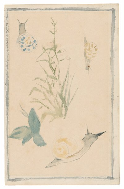 Schetsen van slakken, bloeiende plant door Édouard Manet