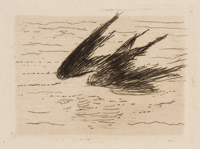 Zwaluwen, plaat 8 van Le Fleuve door Édouard Manet