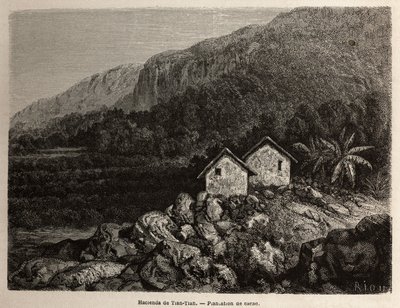 Hacienda door Tian Tian, Peru en cacaoplantage, tekening door Riou, ter illustratie van Paul Marcoy