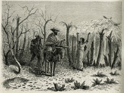 De wolken van sprinkhanen van de Vallei van de Boven Patia, met op zijn muilezel de verteller van de reis, gravure door Riou, ter illustratie van het verhaal L