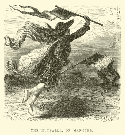 De Huyfalla, of man-vogel door Edouard Riou