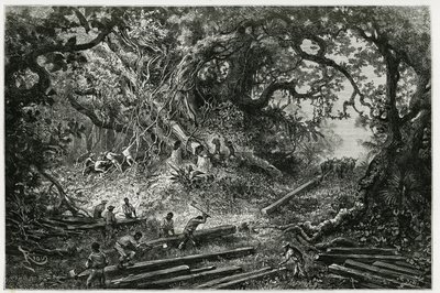 De exploitatie van mahoniehout in de bossen van de Andes. Gravure door Riou, ter illustratie van het verhaal 