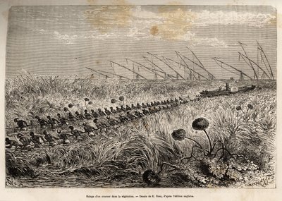 Het slepen van een stoomboot door de vegetatieriffen die het holle kanaal binnendringen om een moeras te verlaten, geëtst naar een tekening van E.Riou, ter illustratie van een gewapende expeditie in Centraal-Afrika, voor de onderdrukking van de zwarte hand door Edouard Riou