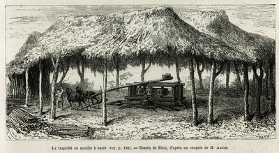 De trapiche, of suikermolen om de suikerriet te malen in Panche (Colombia), tekening door Riou, ter illustratie van het verhaal van Equinoxiale Amerika (Colombia, Ecuador, Peru), 1875-1876, door Ed. Andre, reiziger belast met een missie door de Franse rege door Edouard Riou